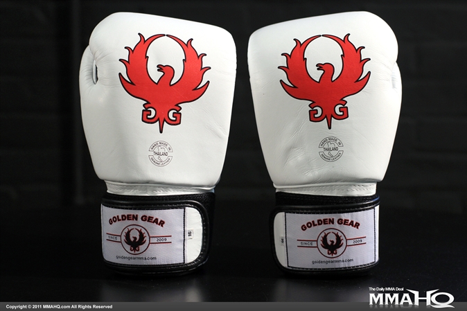 Golden Gear BGV1-BR Air Training Gloves